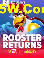 Crash Games Statistics v77bet.com